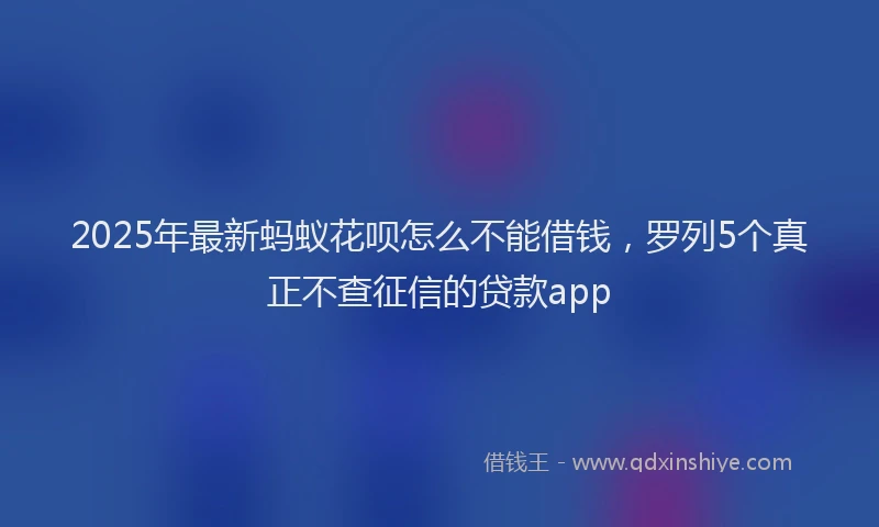 2025年最新蚂蚁花呗怎么不能借钱，罗列5个真正不查征信的贷款app