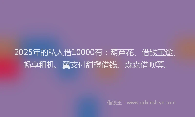 2025年的私人借10000有：葫芦花、借钱宝途、畅享租机、翼支付甜橙借钱、森森借呗等。
