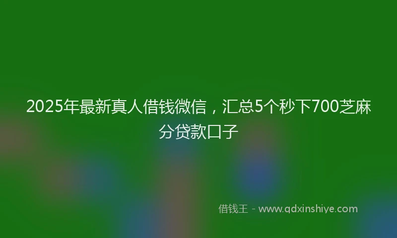 2025年最新真人借钱微信，汇总5个秒下700芝麻分贷款口子
