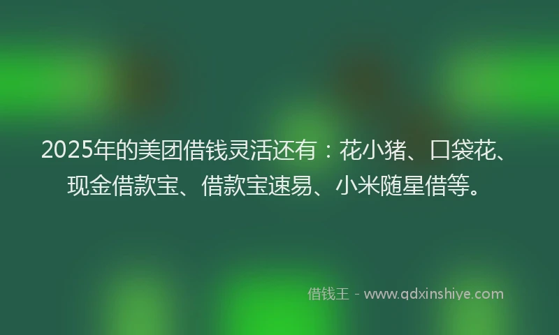 2025年的美团借钱灵活还有：花小猪、口袋花、现金借款宝、借款宝速易、小米随星借等。