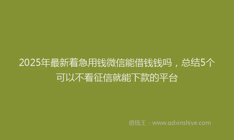 2025年最新着急用钱微信能借钱钱吗，总结5个可以不看征信就能下款的平台
