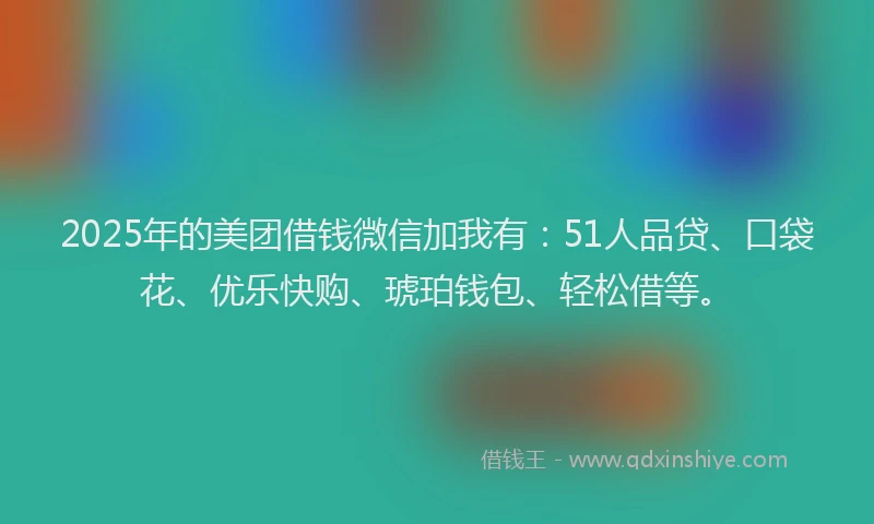 2025年的美团借钱微信加我有：51人品贷、口袋花、优乐快购、琥珀钱包、轻松借等。