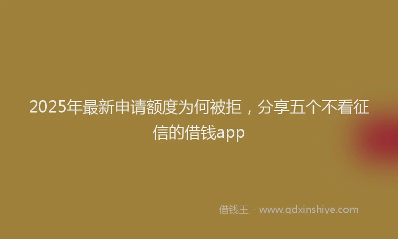 2025年最新申请额度为何被拒，分享五个不看征信的借钱app