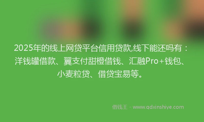 2025年的线上网贷平台信用贷款,线下能还吗有：洋钱罐借款、翼支付甜橙借钱、汇融Pro+钱包、小麦粒贷、借贷宝易等。