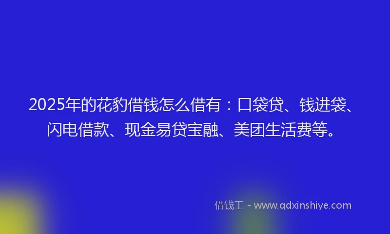 2025年的花豹借钱怎么借有：口袋贷、钱进袋、闪电借款、现金易贷宝融、美团生活费等。
