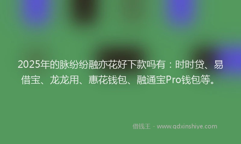 2025年的脉纷纷融亦花好下款吗有：时时贷、易借宝、龙龙用、惠花钱包、融通宝Pro钱包等。