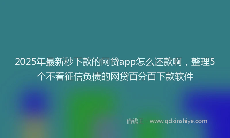 2025年最新秒下款的网贷app怎么还款啊，整理5个不看征信负债的网贷百分百下款软件