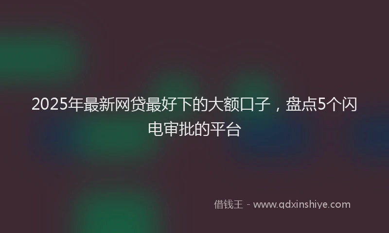 2025年最新网贷最好下的大额口子，盘点5个闪电审批的平台