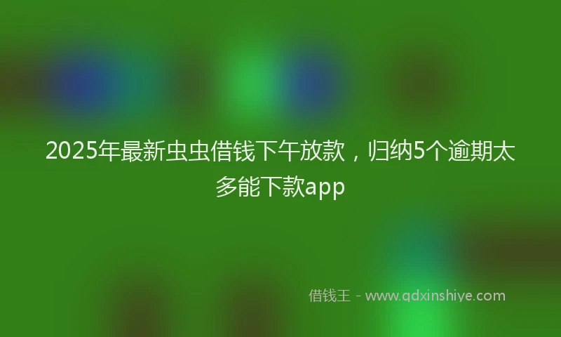 2025年最新虫虫借钱下午放款，归纳5个逾期太多能下款app
