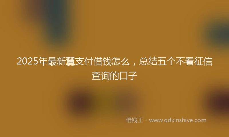 2025年最新翼支付借钱怎么，总结五个不看征信查询的口子