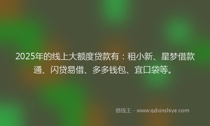 2025年的线上大额度贷款有：租小新、星梦借款通、闪贷易借、多多钱包、宜口袋等。
