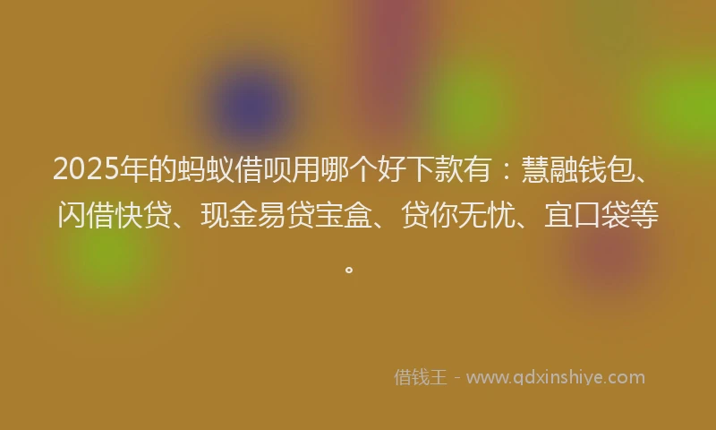 2025年的蚂蚁借呗用哪个好下款有：慧融钱包、闪借快贷、现金易贷宝盒、贷你无忧、宜口袋等。
