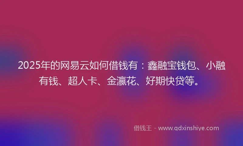 2025年的网易云如何借钱有：鑫融宝钱包、小融有钱、超人卡、金瀛花、好期快贷等。
