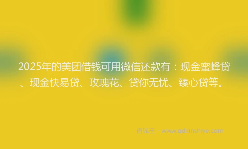 2025年的美团借钱可用微信还款有：现金蜜蜂贷、现金快易贷、玫瑰花、贷你无忧、臻心贷等。