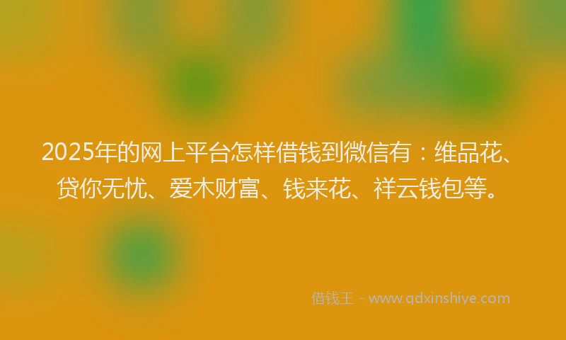 2025年的网上平台怎样借钱到微信有：维品花、贷你无忧、爱木财富、钱来花、祥云钱包等。
