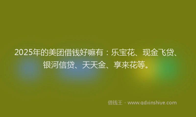 2025年的美团借钱好嘛有：乐宝花、现金飞贷、银河信贷、天天金、享来花等。