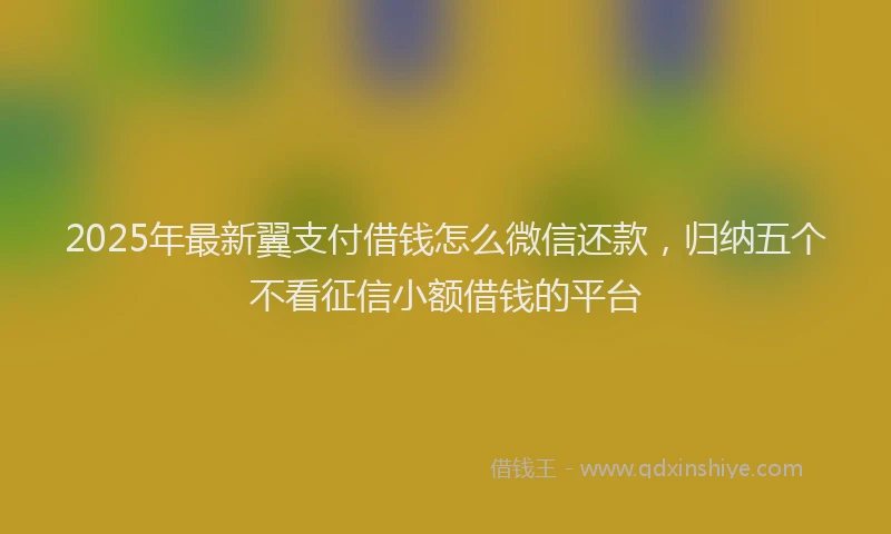 2025年最新翼支付借钱怎么微信还款，归纳五个不看征信小额借钱的平台