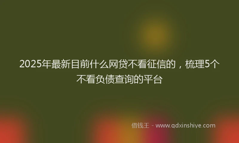 2025年最新目前什么网贷不看征信的，梳理5个不看负债查询的平台