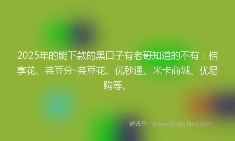 2025年的能下款的黑口子有老哥知道的不有：桔享花、芸豆分-芸豆花、优秒通、米卡商城、优易购等。