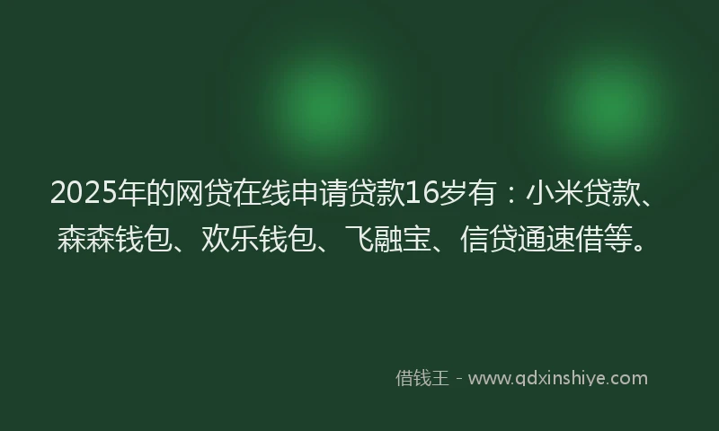 2025年的网贷在线申请贷款16岁有：小米贷款、森森钱包、欢乐钱包、飞融宝、信贷通速借等。