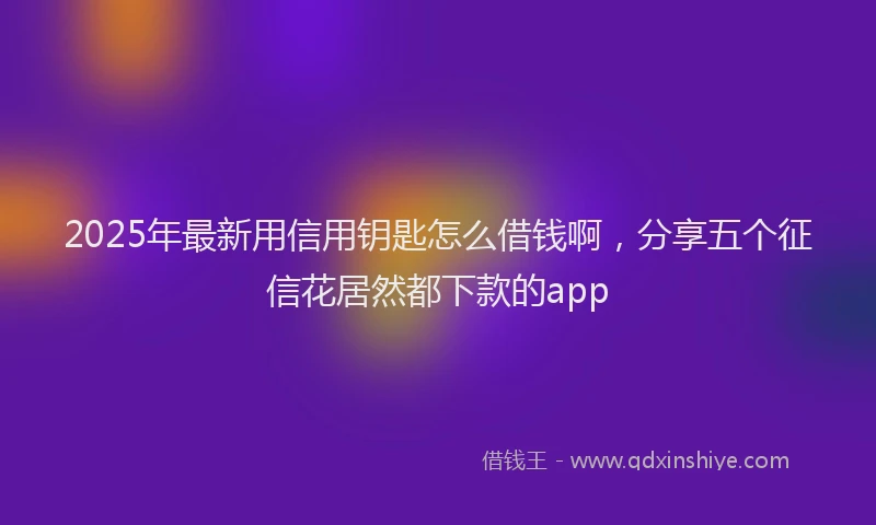 2025年最新用信用钥匙怎么借钱啊，分享五个征信花居然都下款的app
