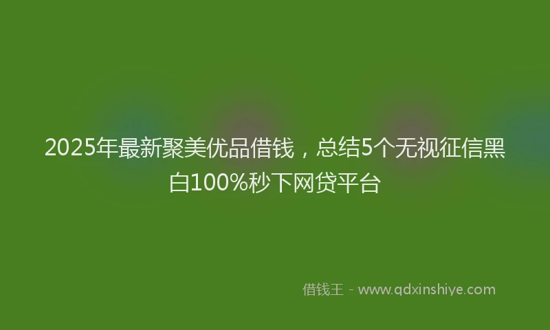 2025年最新聚美优品借钱，总结5个无视征信黑白100%秒下网贷平台