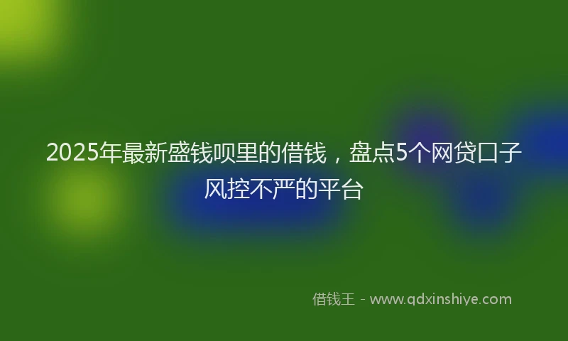 2025年最新盛钱呗里的借钱，盘点5个网贷口子风控不严的平台