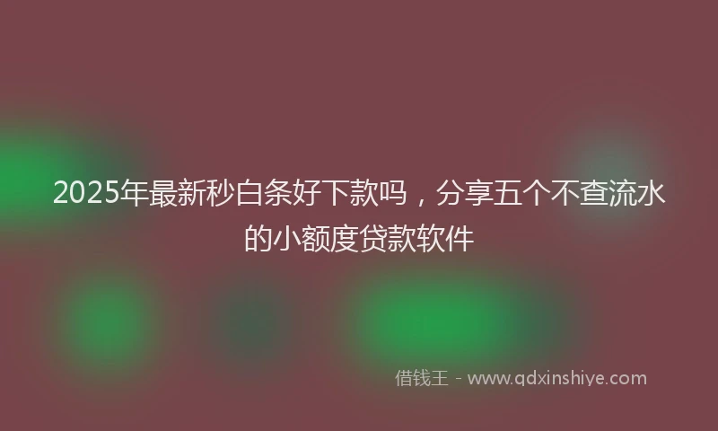 2025年最新秒白条好下款吗，分享五个不查流水的小额度贷款软件