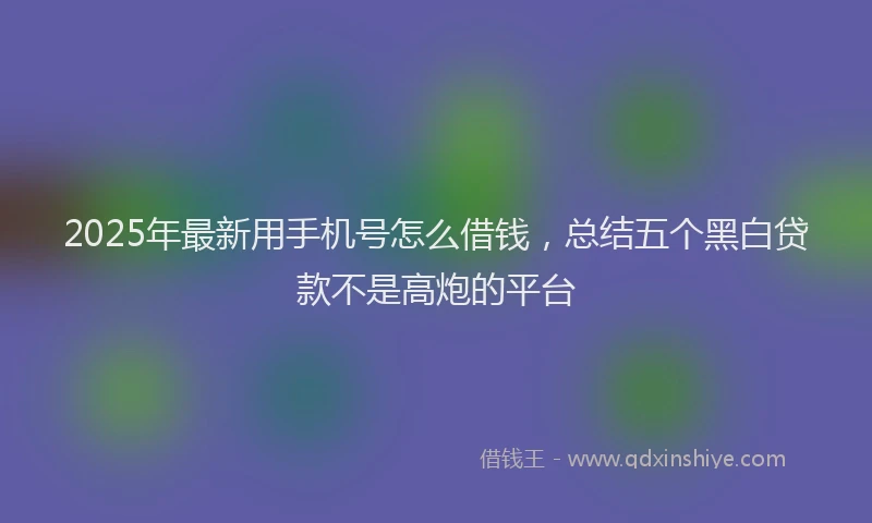 2025年最新用手机号怎么借钱，总结五个黑白贷款不是高炮的平台