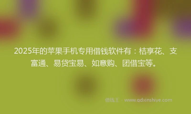 2025年的苹果手机专用借钱软件有：桔享花、支富通、易贷宝易、如意购、团借宝等。