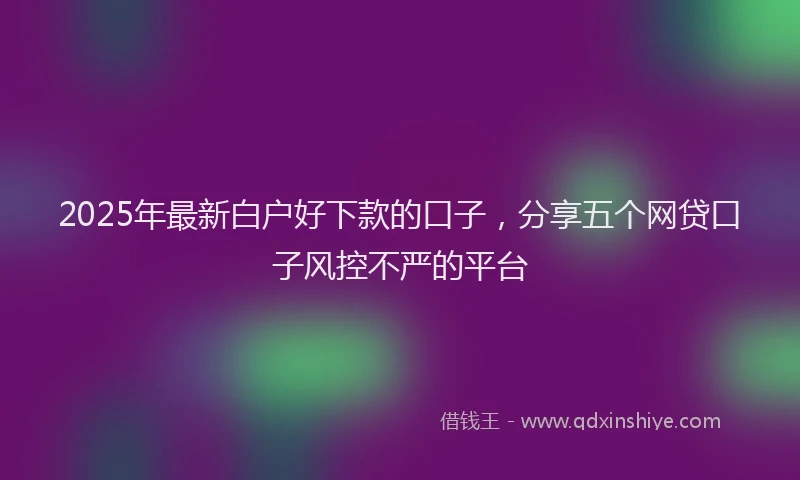 2025年最新白户好下款的口子，分享五个网贷口子风控不严的平台