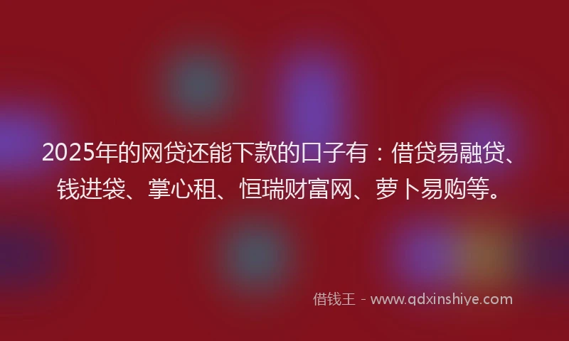 2025年的网贷还能下款的口子有：借贷易融贷、钱进袋、掌心租、恒瑞财富网、萝卜易购等。