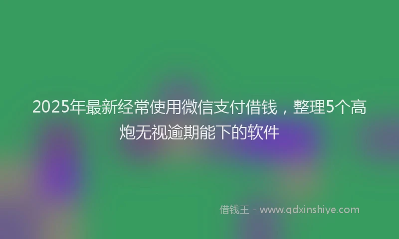 2025年最新经常使用微信支付借钱，整理5个高炮无视逾期能下的软件