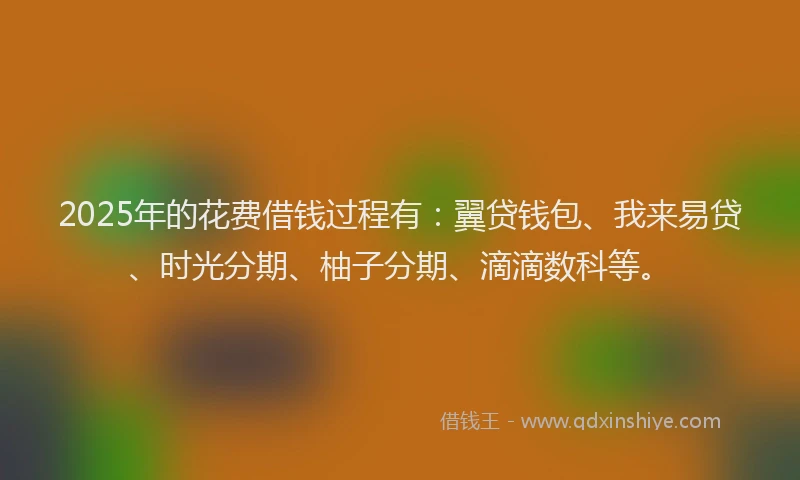 2025年的花费借钱过程有：翼贷钱包、我来易贷、时光分期、柚子分期、滴滴数科等。