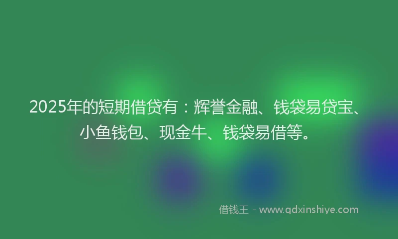 2025年的短期借贷有：辉誉金融、钱袋易贷宝、小鱼钱包、现金牛、钱袋易借等。