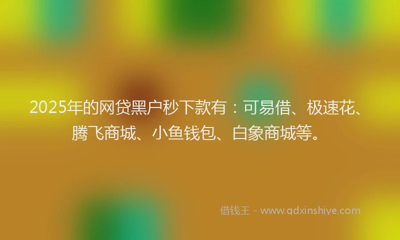 2025年的网贷黑户秒下款有：可易借、极速花、腾飞商城、小鱼钱包、白象商城等。