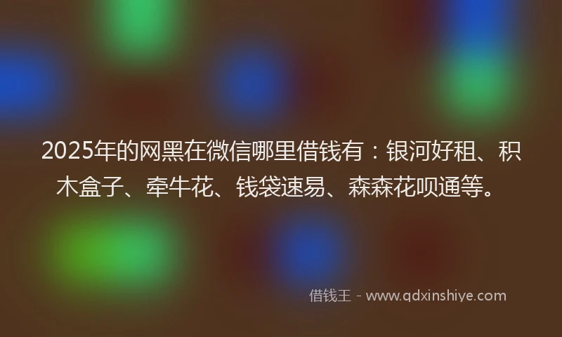 2025年的网黑在微信哪里借钱有：银河好租、积木盒子、牵牛花、钱袋速易、森森花呗通等。
