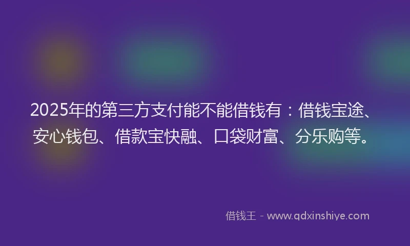 2025年的第三方支付能不能借钱有：借钱宝途、安心钱包、借款宝快融、口袋财富、分乐购等。