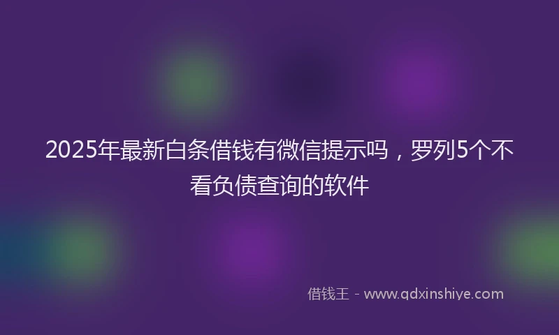 2025年最新白条借钱有微信提示吗，罗列5个不看负债查询的软件