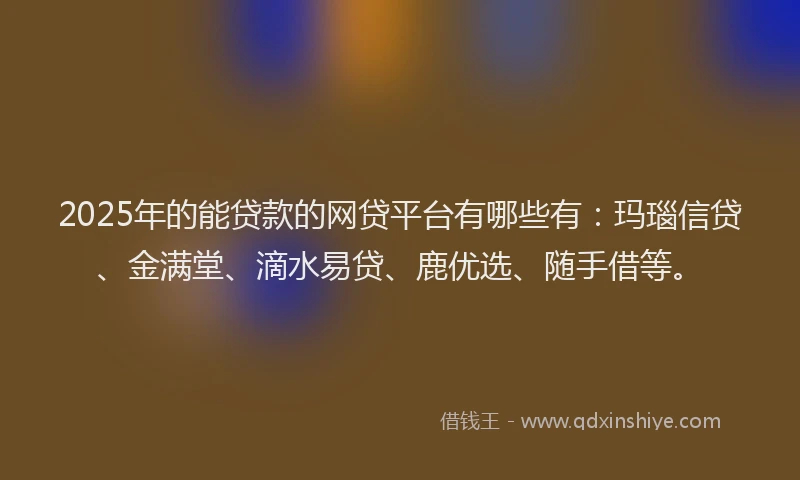 2025年的能贷款的网贷平台有哪些有：玛瑙信贷、金满堂、滴水易贷、鹿优选、随手借等。