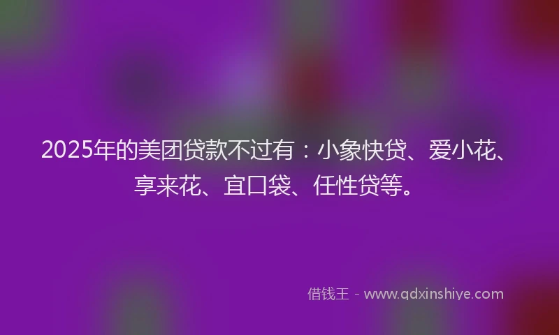 2025年的美团贷款不过有：小象快贷、爱小花、享来花、宜口袋、任性贷等。