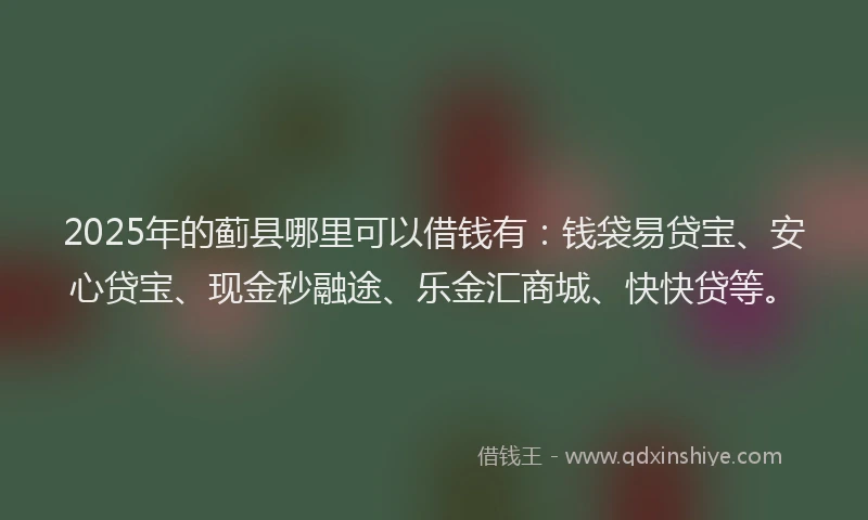 2025年的蓟县哪里可以借钱有:钱袋易贷宝、安心贷宝、现金秒融途、乐金汇商城、快快贷等。