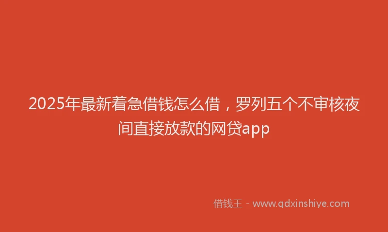 2025年最新着急借钱怎么借，罗列五个不审核夜间直接放款的网贷app