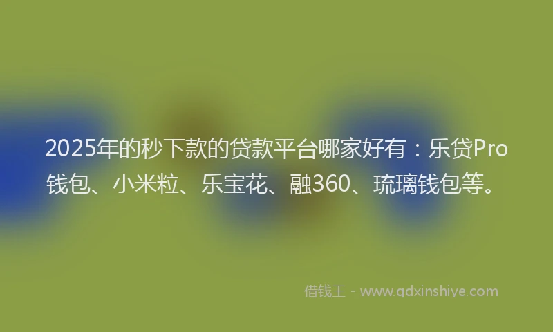 2025年的秒下款的贷款平台哪家好有：乐贷Pro钱包、小米粒、乐宝花、融360、琉璃钱包等。