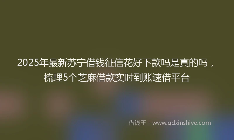 2025年最新苏宁借钱征信花好下款吗是真的吗，梳理5个芝麻借款实时到账速借平台