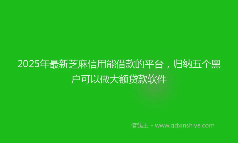 2025年最新芝麻信用能借款的平台，归纳五个黑户可以做大额贷款软件
