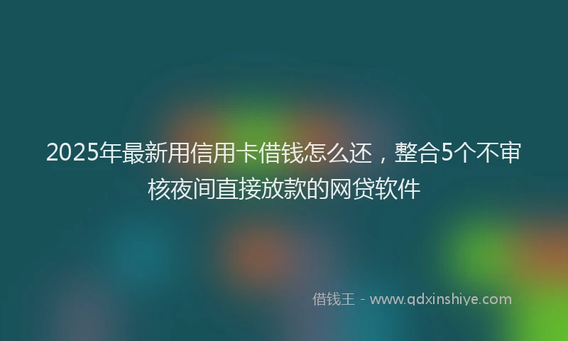 2025年最新用信用卡借钱怎么还，整合5个不审核夜间直接放款的网贷软件
