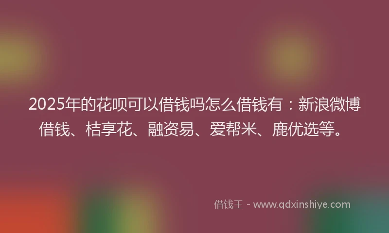 2025年的花呗可以借钱吗怎么借钱有：新浪微博借钱、桔享花、融资易、爱帮米、鹿优选等。