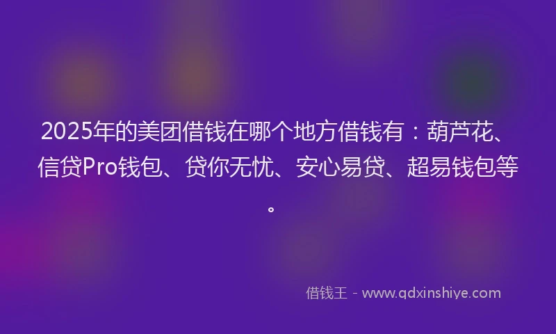 2025年的美团借钱在哪个地方借钱有：葫芦花、信贷Pro钱包、贷你无忧、安心易贷、超易钱包等。