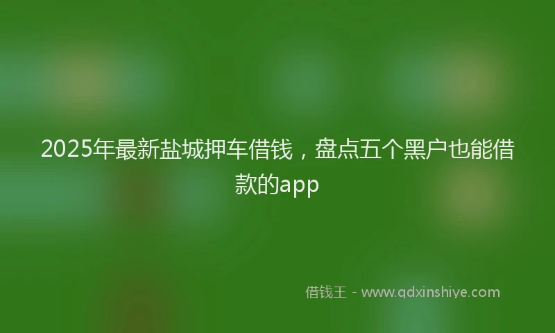 2025年最新盐城押车借钱，盘点五个黑户也能借款的app
